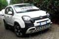 usato FIAT Panda Cross