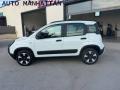 usato FIAT Panda