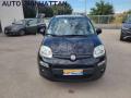 usato FIAT Panda