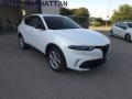 usato ALFA ROMEO Tonale