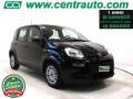 usato FIAT Panda