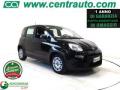 usato FIAT Panda