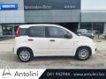 usato FIAT Panda