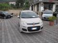 usato FIAT New Panda