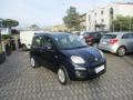 usato FIAT Panda