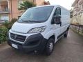 usato FIAT Ducato