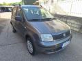 usato FIAT Panda