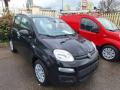 Km 0 FIAT Panda