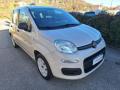 usato FIAT Panda