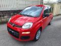 usato FIAT Panda