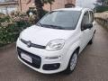usato FIAT Panda