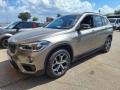usato BMW X1