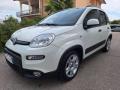 usato FIAT Panda