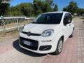 usato FIAT Panda
