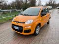 usato FIAT Panda