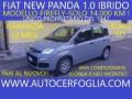 usato FIAT Panda