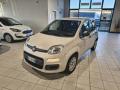 usato FIAT Panda
