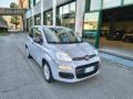 usato FIAT Panda