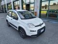 usato FIAT Panda