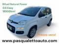 usato FIAT Panda