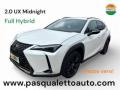 usato LEXUS UX 250h