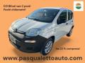 usato FIAT Panda