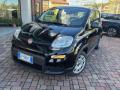 usato FIAT Panda