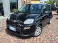 usato FIAT Panda