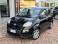 usato FIAT Panda