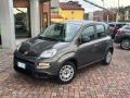 usato FIAT Panda