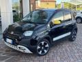 usato FIAT Panda