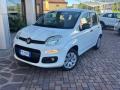usato FIAT Panda