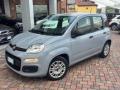 usato FIAT Panda
