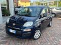 usato FIAT Panda