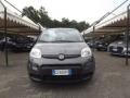 usato FIAT Panda