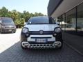 usato FIAT Panda Cross