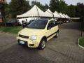 usato FIAT Panda