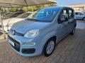 usato FIAT Panda