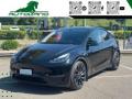 usato TESLA Model Y