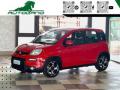 usato FIAT Panda