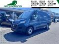usato FIAT Ducato