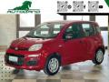 usato FIAT Panda