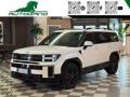 usato HYUNDAI Santa Fe