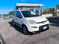 usato FIAT Panda