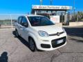 usato FIAT Panda