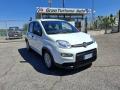 usato FIAT Panda