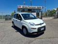 usato FIAT Panda