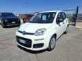 usato FIAT Panda