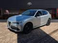 usato ALFA ROMEO Stelvio