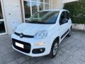 usato FIAT Panda